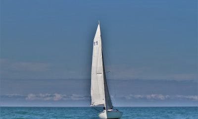 Barca a vela pixabay