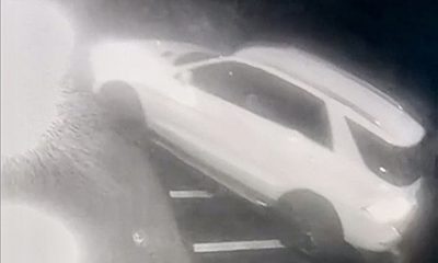 Viareggio algerino investito rapina Cinzia del pino video dal web