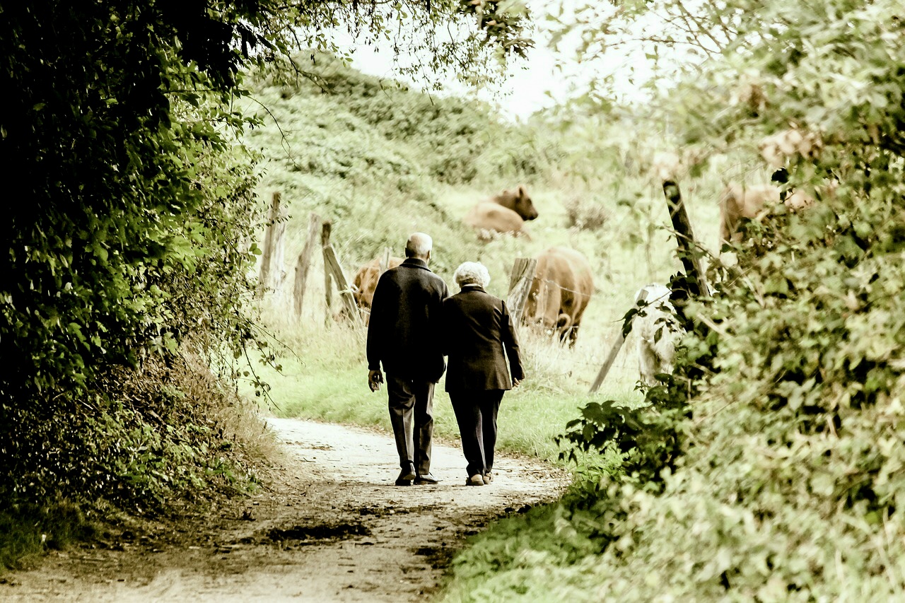 Anziani persone pensionati pixabay