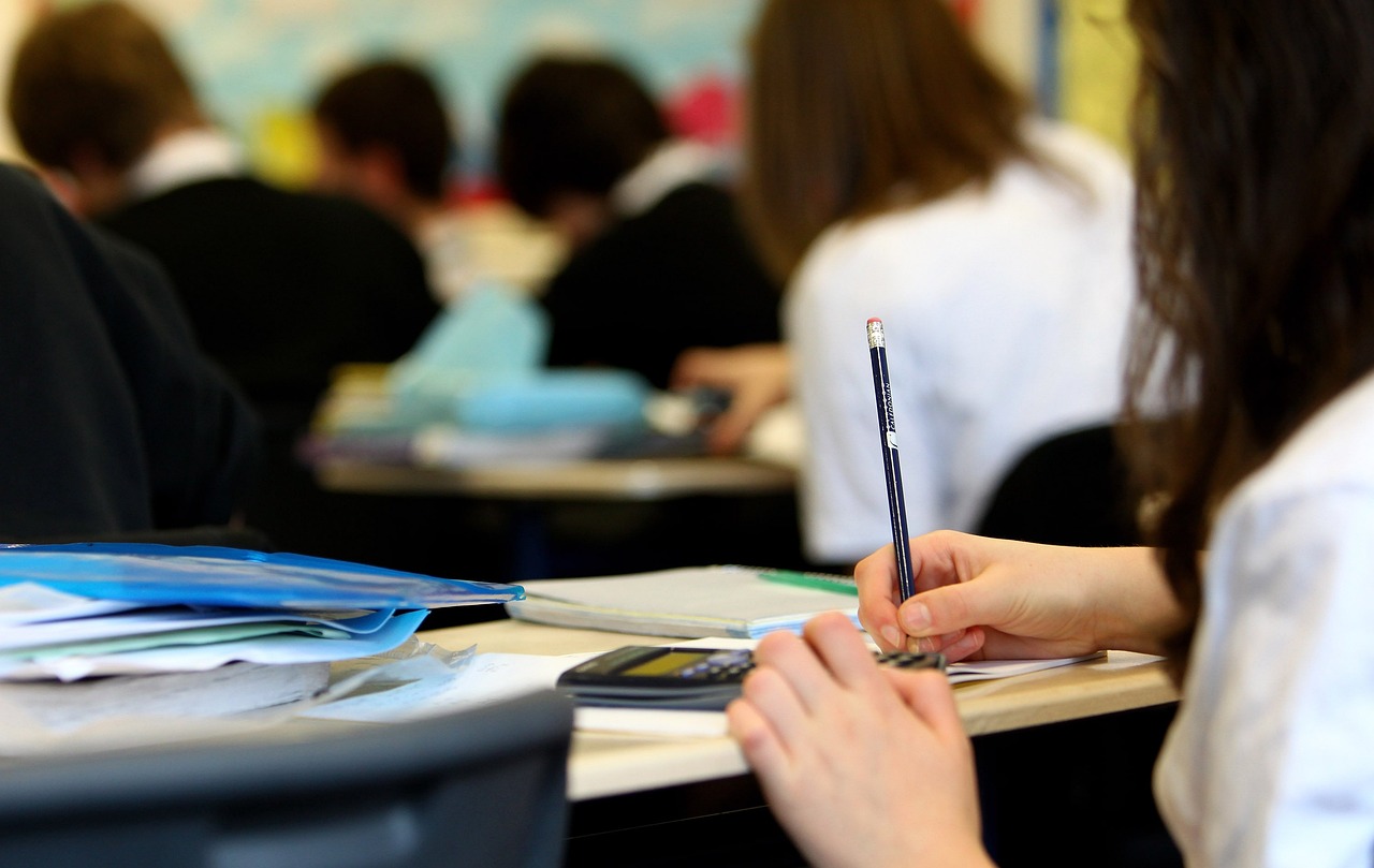 Studenti scuola classe esame maturità pixabay